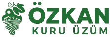 Özkan Kuru Üzüm